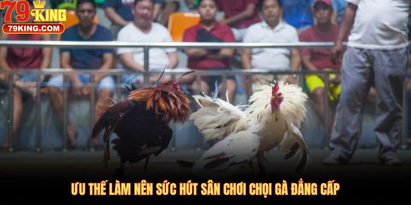 Tại Sao Nên Chọn 79king Để Cá Cược Đá Gà?